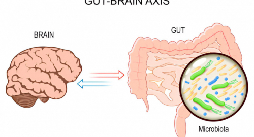 Idrogeno Solforato, Microbiota Intestinale e Sirtuine: Una Nuova Frontiera per la Neuroprotezione